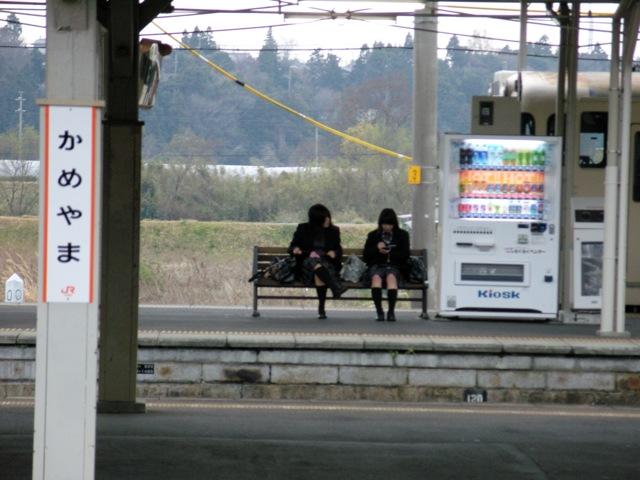 SNV11686.jpg